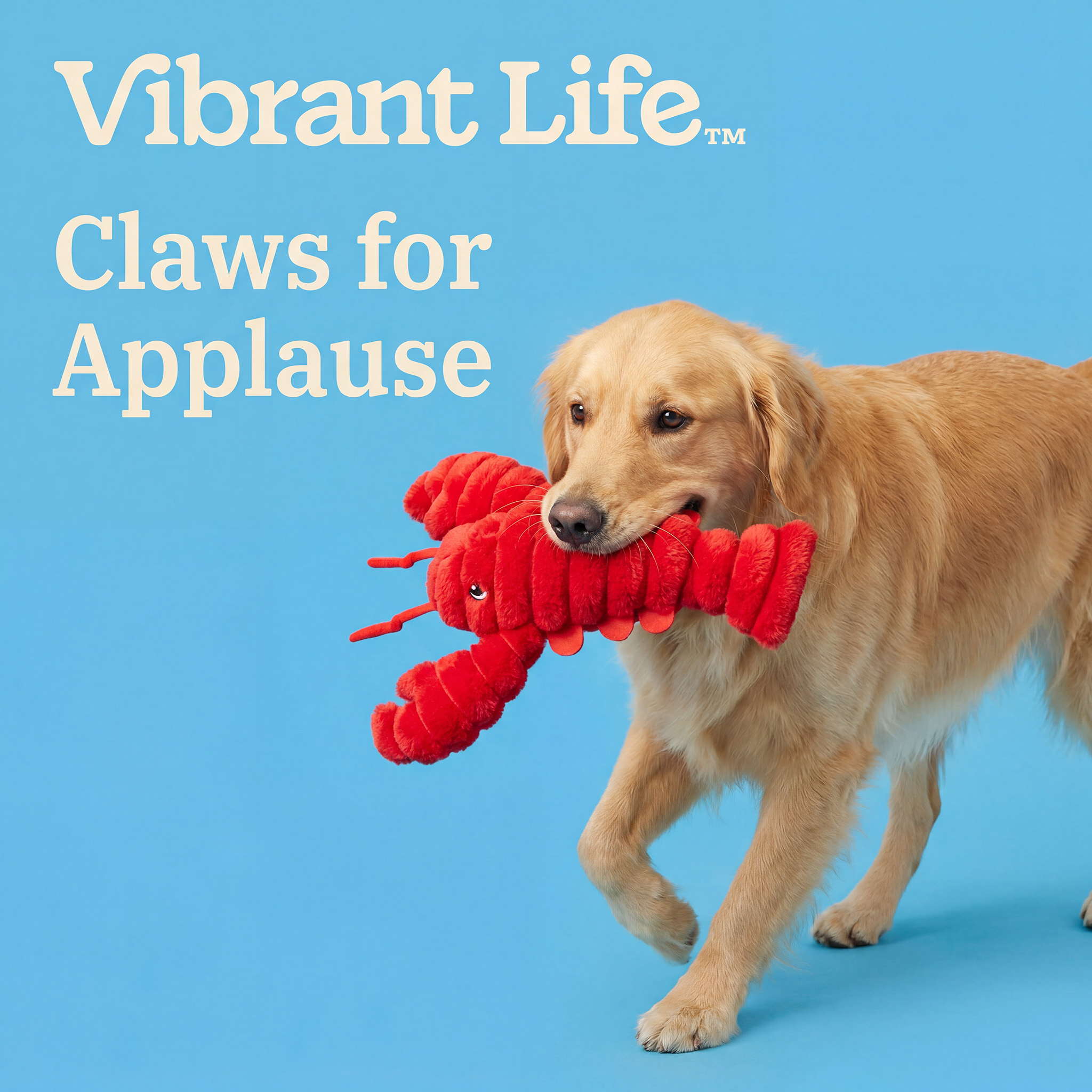 Vibrant Life Red Lobster Plush Dog Toy with Squeaker photo 4