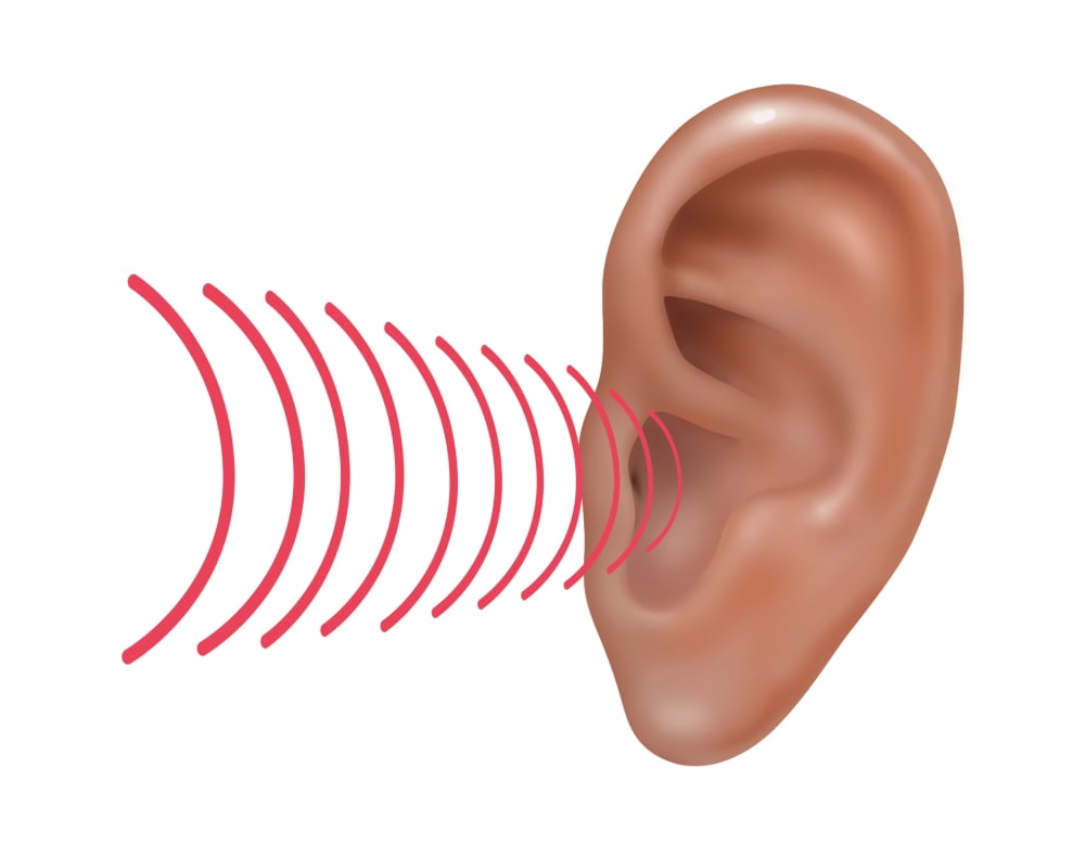 human voice wave files human voice wave files