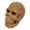 E, variant on BYJKING Pink Halloween Ghost Figurine, Cute Versatile Display Decoration for Indoor Home Desk Yard Festival Party and Spooky Scene Setup D#