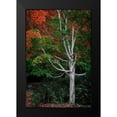 thumbnail image 2 of Geyman, Vitaly 17x24 Black Modern Framed Museum Art Print Titled - Tree of Life I, 2 of 5