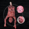 thumbnail image 3 of Halloween Party Decoration Simulation Human Upper Body Scary Hanging Ghost, 3 of 5
