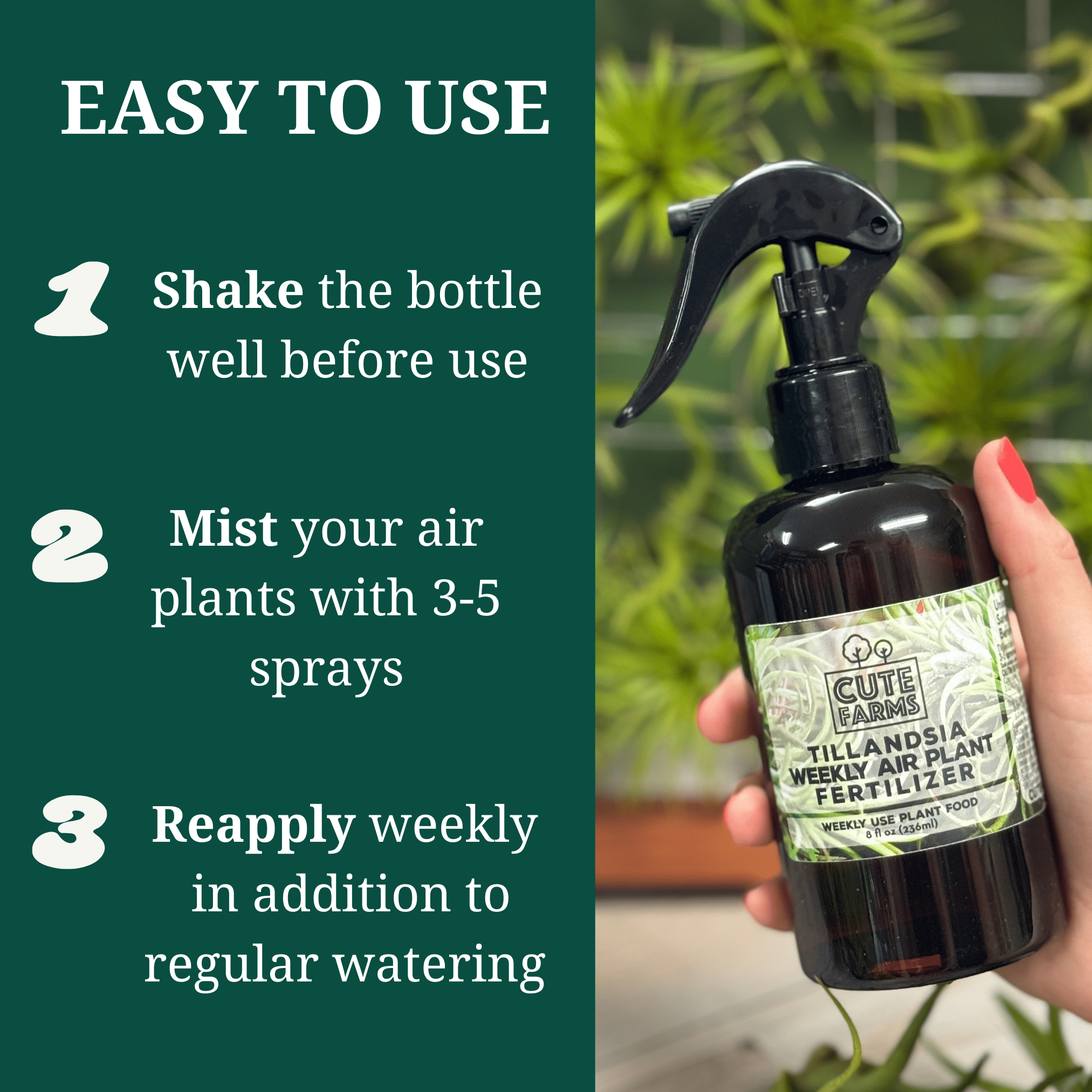 Cute Farms Tillandsia Air Plant Fertilizer - Weekly Use (Three - 8 oz. Spray Bottle)