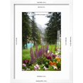 thumbnail image 3 of Banff Flowers In National Park Nature Photo Poster, Framed Art Print Wall Art Sold by Art.Com, 3 of 6