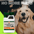 thumbnail image 4 of Nature’s Dome Outdoor Flea & Tick Spray – 32 oz Hose-End Yard Treatment – Kills & Repels Mosquitoes, Fleas, Ticks, Larvae & Eggs – Plant-Based, Safe for Pets, Kids & Plants – Ready-to-Use, 4 of 15