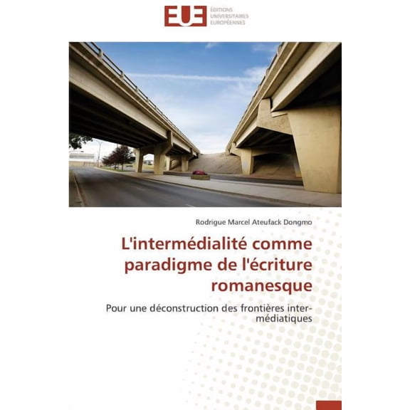 L'intermédialité comme paradigme de l'écriture romanesque: Pour une déconstruction des frontières inter-médiatiques (Paperback)