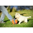 thumbnail image 3 of Chuckit! Kick Fetch Small Dog Toy, 3 of 3