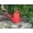 Red, variant on Tierra Garden 2.1 Gallon Orange Metal Watering Can