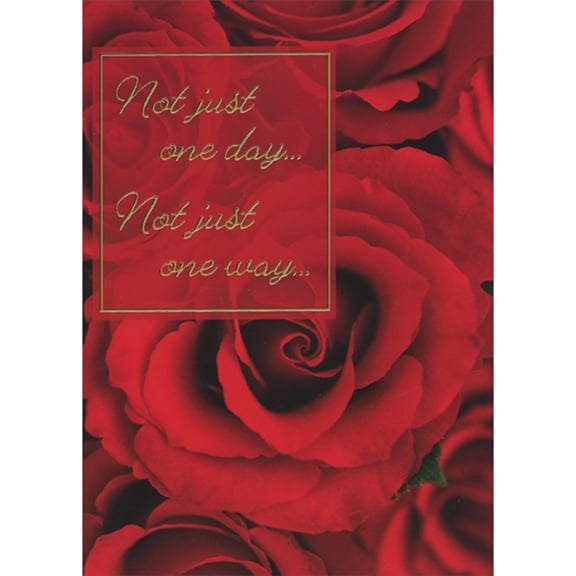 RSVP Red Rose Close Up Photo: Not Just One Day Romantic Valentine's Day Card
