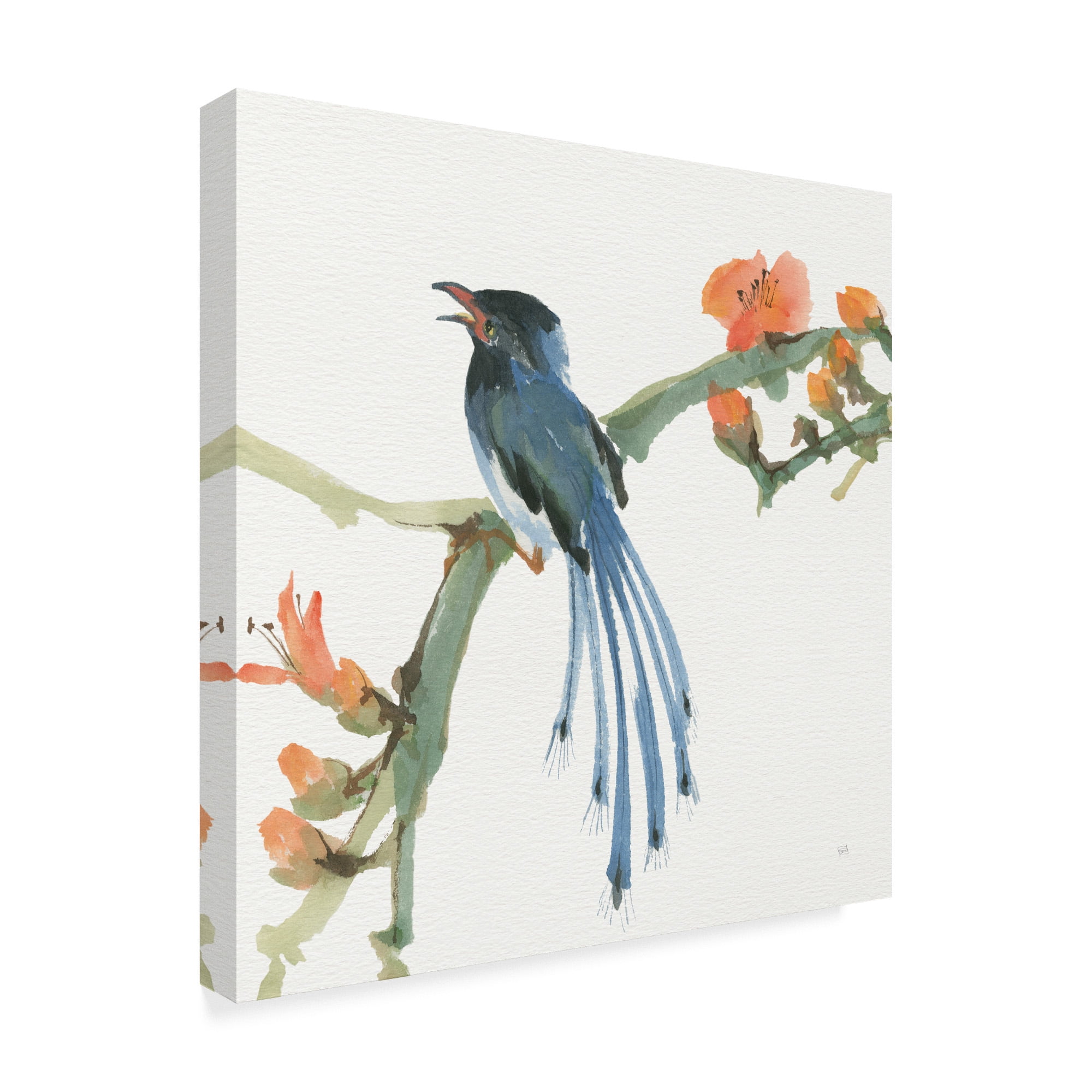 Trademark Fine Art 'Formosan Blue Magpie' Canvas Art by Chris Paschke