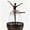 B, variant on Artistic Ballerina Sculpture Tabletop Water Feature, Elegant Flowing Skirt Mini Fountain Ornament, Resin Desktop Water Decor For Living Room, Office & Indoor Home Display (A)