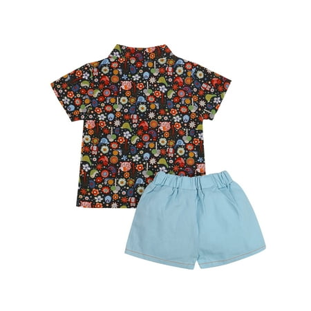 

MERSARIPHY Baby Boy Short Sleeve Shirt Shorts Tropical Print Elastic Waist