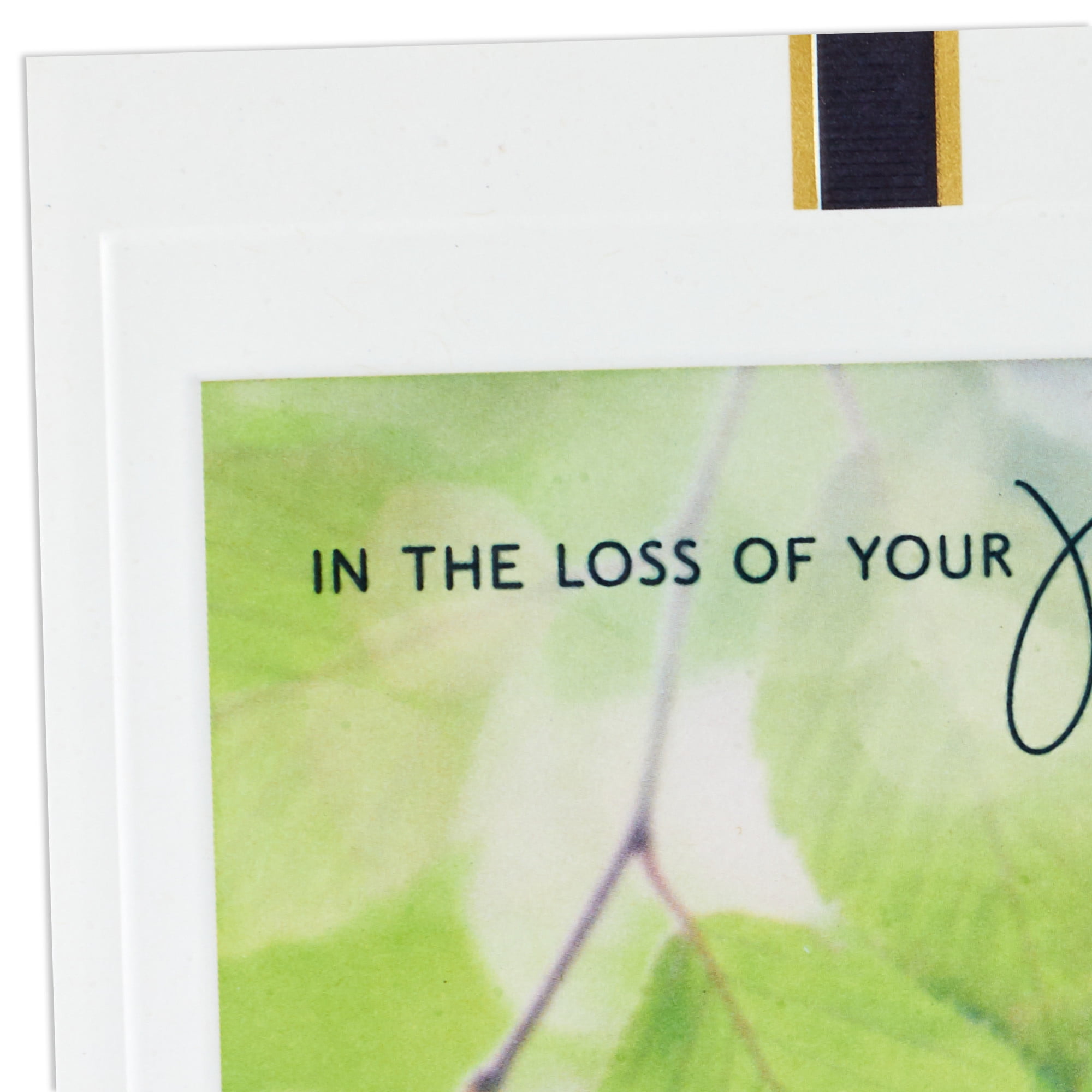 Hallmark Sympathy Card for Loss of Brother (Hoping Memories Bring You Comfort)
