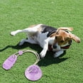 thumbnail image 5 of Durable Suction Cup Chew Toy for Dogs Interactive Pet Slipper Design to Boredom and Consume Energy with Leaky Food Feature for Medium Sized Companions, 5 of 5
