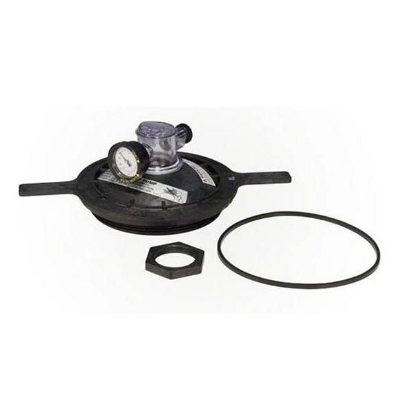 Pentair 154856 Black Buttress Thread Closure Replacement Kit for Pool