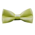 thumbnail image 1 of Apuakthei AMAJIJI corbata formal para perros medianos y grandes, 1 of 5