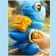 thumbnail image 5 of Juguetes de piscina, juguetes para bebés, juguetes para niños pequeños, juguetes para niños, dinosaurio que se moverá, rompecabezas de simulación, juguete pequeño, dinosaurio mecánico, dinosaurio mecá, 5 of 9