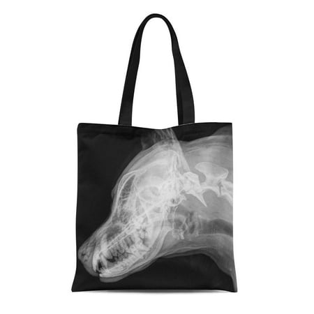 SIDONKU Canvas Tote Bag X Ray of the Skull Large Dog Side View Reusable Shoulder Grocery Shopping Bags Handbag