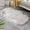 B, variant on UNLLLL Popular Carpet, Household Cold Proof And Slip, Irregular Tea Table Floor Mat, Sofa Cushion, for Adults, Children and Pets