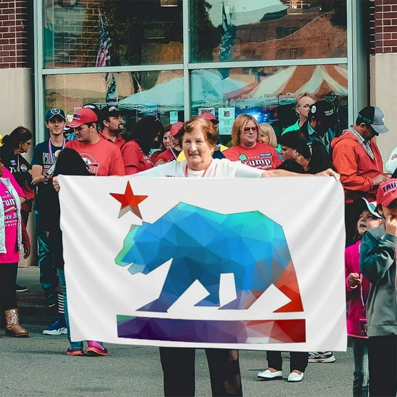 California State Bear (Fractal Colors) Banner Breeze Flag Outdoor Flags Home Flag Garden Flag 3 'X 5' Ft