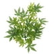 thumbnail image 5 of Enredaderas de Terrario perfecl Flexibles Tipo 2 40 cm, 5 of 8