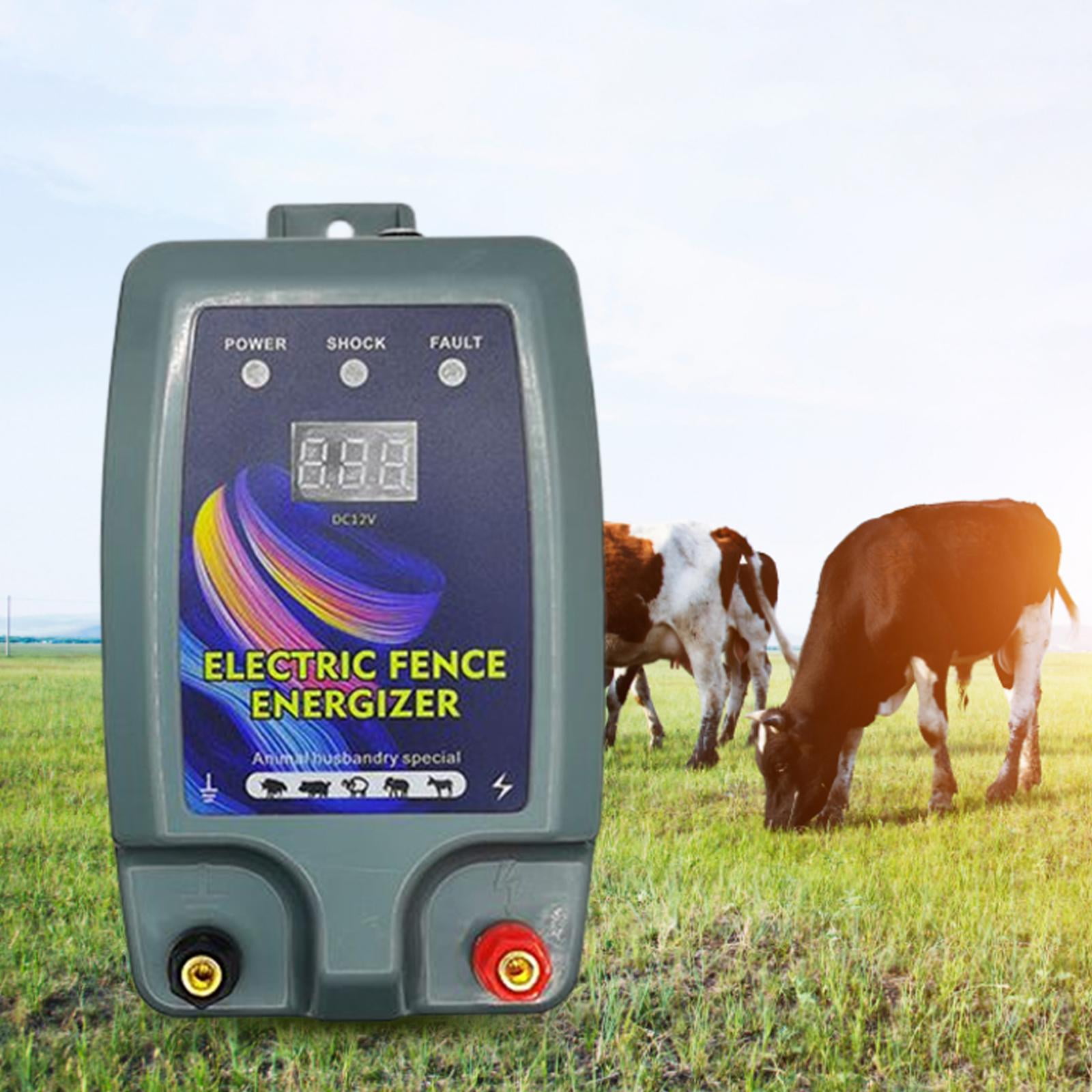 Buy Electric Fence Controller for Poultry Fencing Livestock Supplies standard Online at Lowest