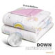 thumbnail image 3 of Edredon Infantil Dreamlab, Hipoalergenico, Tamaño Matrimonial, Diseño De Arcoiris, 3 of 8
