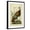 Black Frame, variant on Art.com Audubon Wild Turkey Art Print by John James Audubon, 16" x 24"