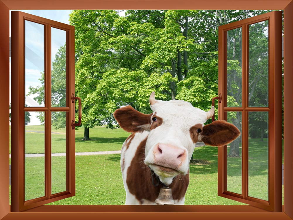 Wall26 A Cow Sticking its Head into an Open Window | Removable Wall Sticker/Wall Mural - 24'x32'