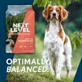 thumbnail image 3 of Next Level, Grain Free Salmon River® Skin & Coat Recipe, Dry Dog Food, 40 lbs, 3 of 9