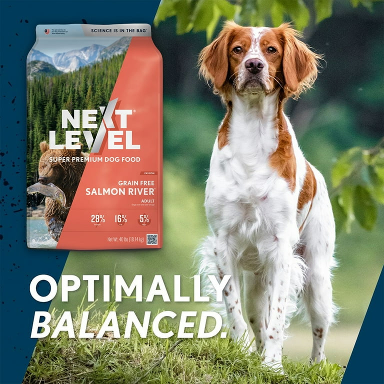 Next Level, Grain Free Salmon River® Skin Coat Recipe, Dry Dog