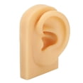 thumbnail image 1 of Modelo De Oreja De Silicona Artificial, Modelo De Oreja De Silicona Humana Realista Reutilizable Para Principiantes Para Practicar Sutura, 1 of 7