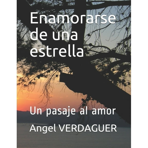Enamorarse de una estrella: Un pasaje al amor (Paperback)