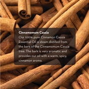 Cinnamon Cassia Essential Oil for Skin and Hair, Therapeutic Grade Oil 10ml by Pure Body Naturals