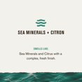 thumbnail image 4 of Gel de baño Every Man Jack Nourishing Sea Minerals + Citron 720 ml, 4 of 9