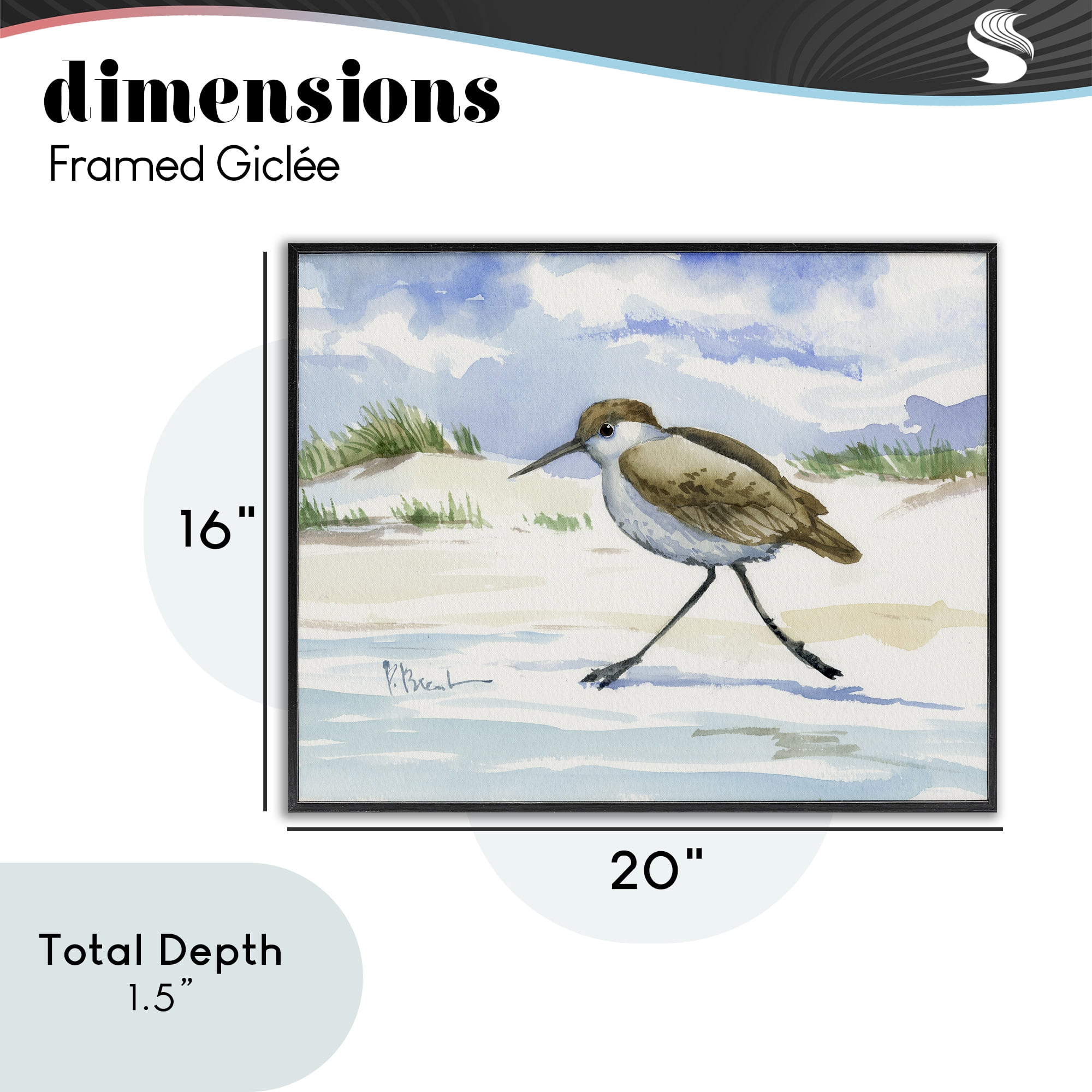 Stupell Industries Inlet Beach Sandpiper Running Black Framed Giclee Art, design by Paul Brent