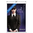 thumbnail image 3 of Wednesday - I'm Allergic To Color Wall Poster with Magnetic Frame, 22.375" x 34", 3 of 5