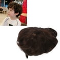 thumbnail image 1 of Pelo Corto Ondulado Para Niño, Textura Esponjosa, , Sintético, Marrón Oscuro, Peluca Corta Rizada Para Niño, Realista Para Niños Para Halloween, 1 of 7
