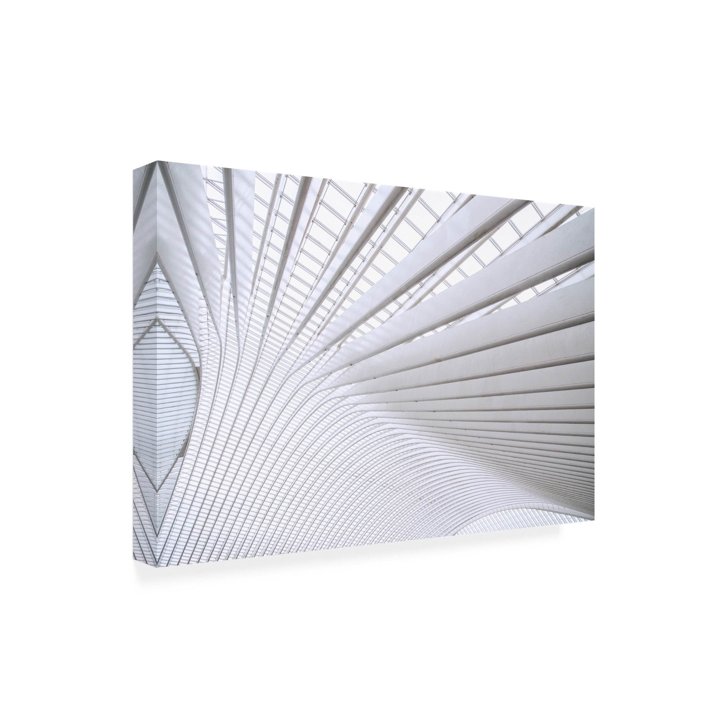 Linda Wride 'Curvature' Canvas Art