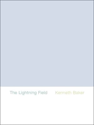 Pre-Owned The Lightning Field (Hardcover) 0300138946 9780300138948