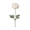 Pink, variant on Beforeyayn Artificial Ranunculus Peony Flowers, 8 Colors for Wedding Centerpieces, for Crafters and Home Stagers, Perfect for Wreaths, Garland, and Gift Wrapping