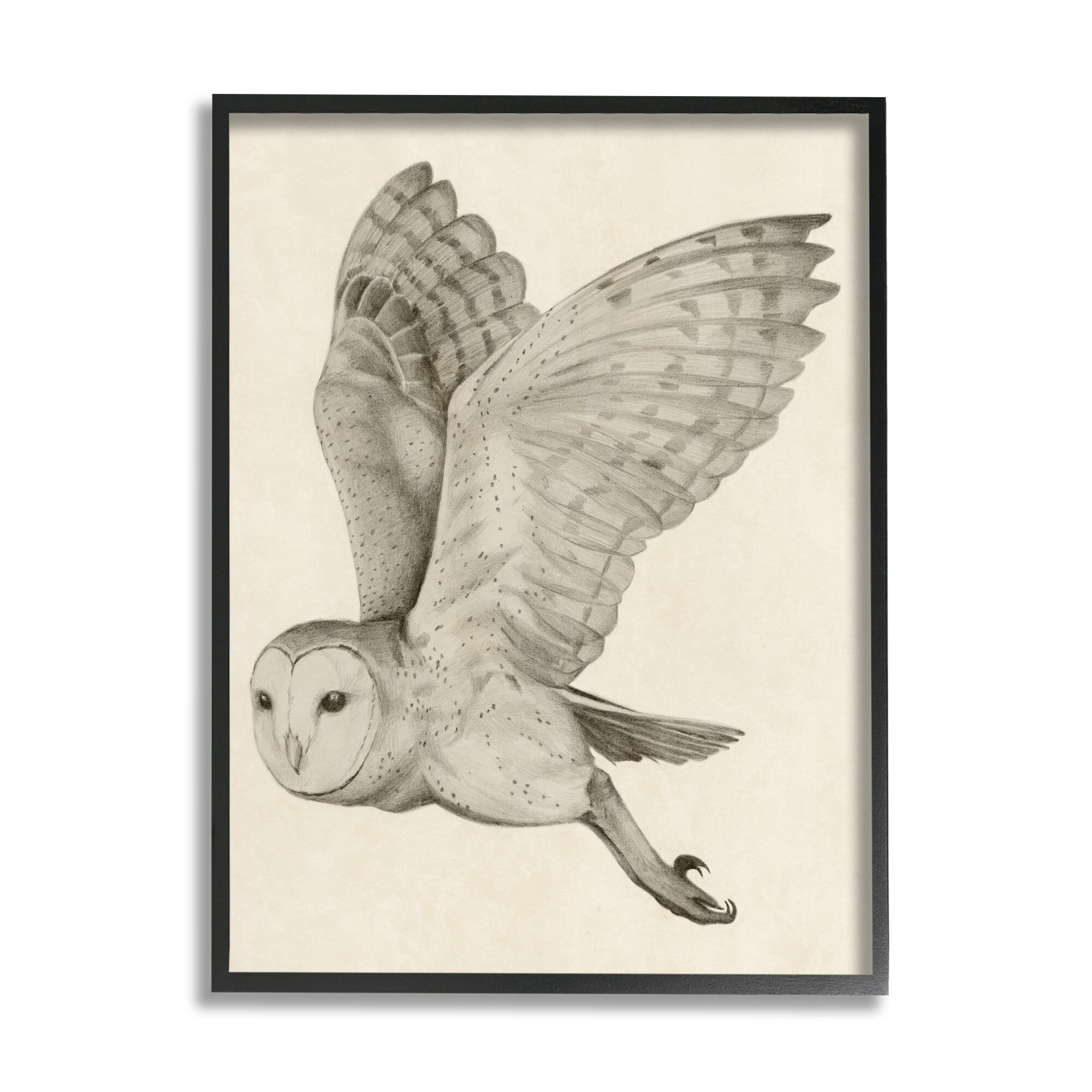 Stupell Industries Flying Barn Owl Wings Detailed Monochrome Drawing Framed Wall Art, 24 x 30, Design by Grace Popp