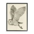 thumbnail image 5 of Stupell Industries Flying Barn Owl Wings Detailed Monochrome Drawing Framed Wall Art, 11 x 14, Design by Grace Popp, 5 of 5