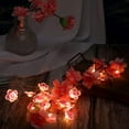 thumbnail image 6 of 10ft 30 LEDs Flower String Lights Fairy 3D Cherry Blossom String Lights Wire Battery Powered String Lights for Valentine's Day Wedding Nursery Girls Bedroom Decoration, 6 of 7