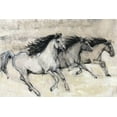 thumbnail image 1 of Horses in Motion II, Animals Unframed Art Print Wall Art by Tim Otoole Sold by Art.Com, 1 of 4