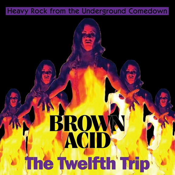 Various Artists - Brown Acid - The Twelfth Trip (Various Artists) - Music & Performance - CD