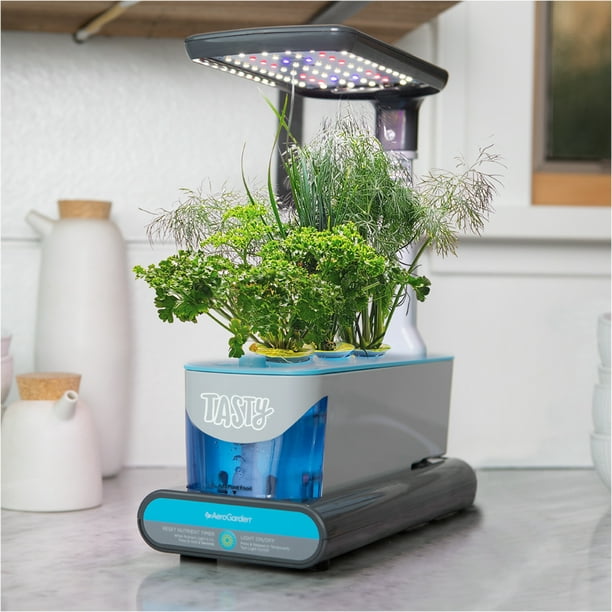 Tasty Sprout By Aerogarden With Ranch Seed Kit Multiple Kit