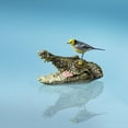 thumbnail image 4 of Realistic Floating Crocodile Head for Pools & Ponds - Animal Deterrent Decoy to Protect Fish and Keep Raccoons Away, 4 of 4