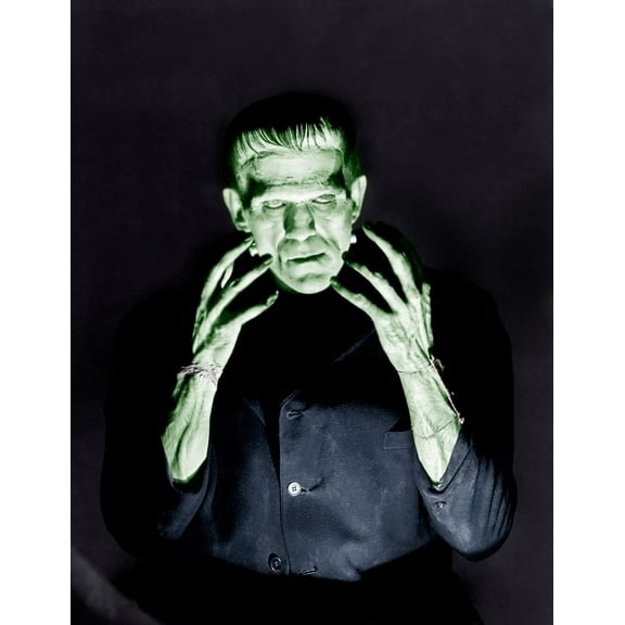 Frankenstein Boris Karloff 1931 Photo Print (8 x 10)