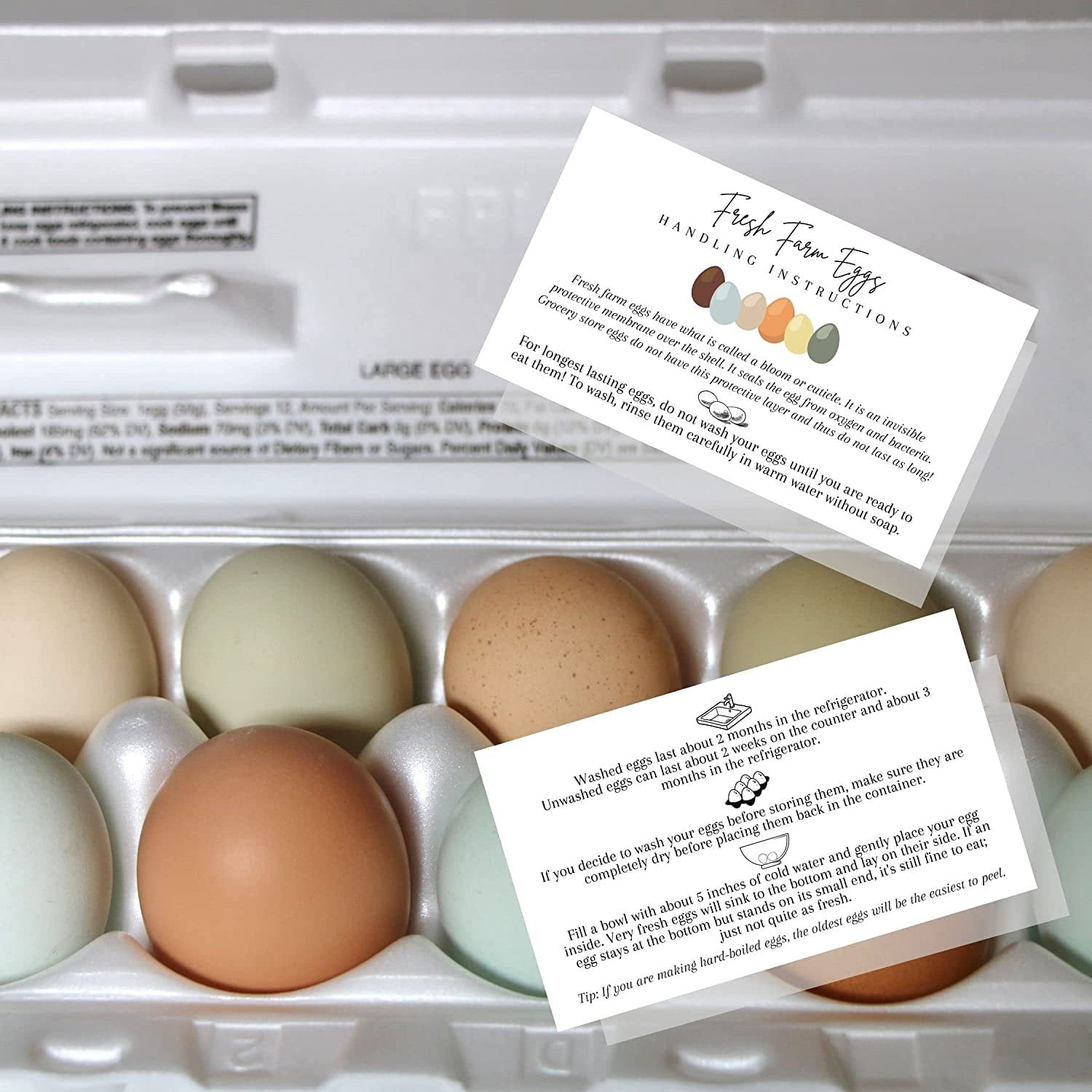 fresh-farm-eggs-handling-instructions-50-pack-2x3-5-inches-business-card-egg-handling-instructions-for-farm-fresh-eggs-white-card-with-colored-egg-design-walmart-com for Egg Handling Instructions Printable Free Fresh Farm Eggs Handling Instructions 50 Pack 2x3.5