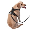thumbnail image 3 of Lsque Black And White Boston Terrier Dog Harness, No-Pull Pet Harness with 2 Leash Clips, Adjustable Soft Padded Dog Vest with Easy Control Handle for Large Dogs-Small, 3 of 9